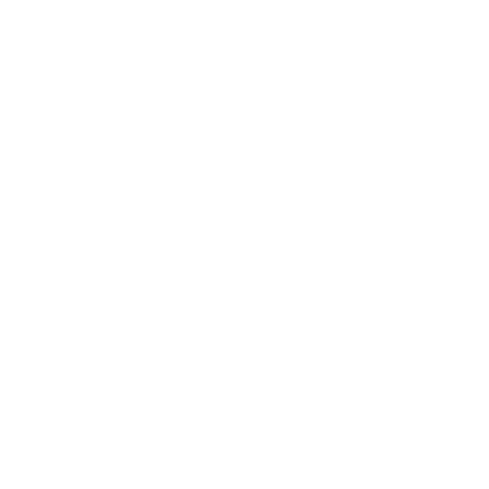 BSW-Timber-1